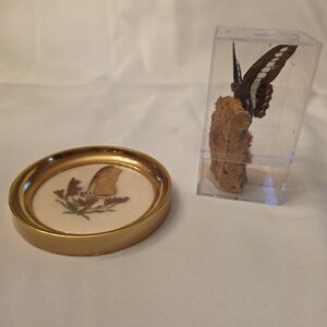 Butterfly Display Set with Gold Accents